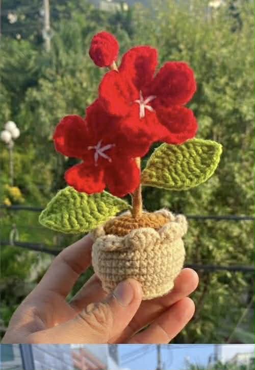 Red Blossom Crochet Flower Pot – Forever Bloom