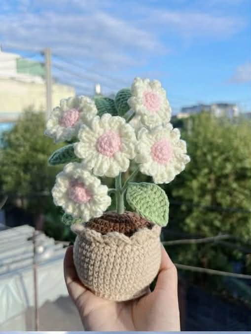White Daisy Crochet Flower Pot – Forever Bloom