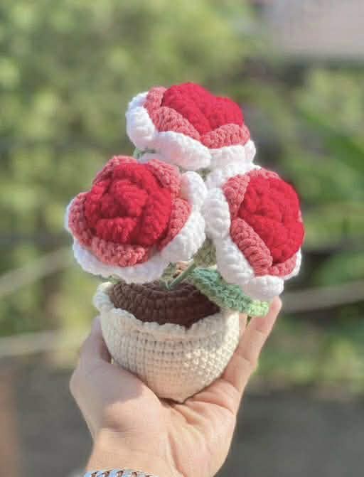 Red & White Rose Crochet Flower Pot – Forever Bloom