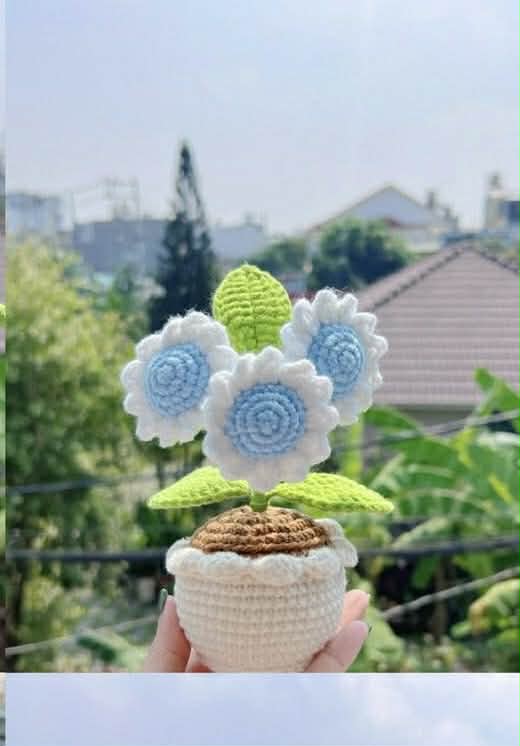 Blue & White Daisy Crochet Flower Pot – Forever Bloom